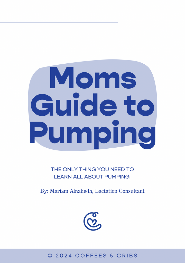 Moms Pumping Guide